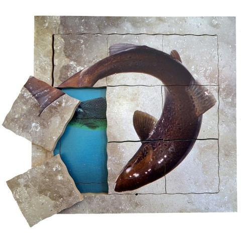 Cyklus - vývoj života lososa (puzzle 19 dílů)